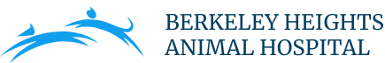 Berkley Logo